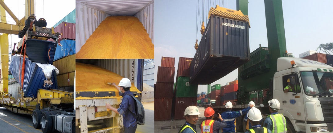 Container Survey